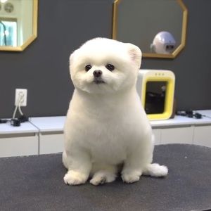 Meet your Posher, Raquel